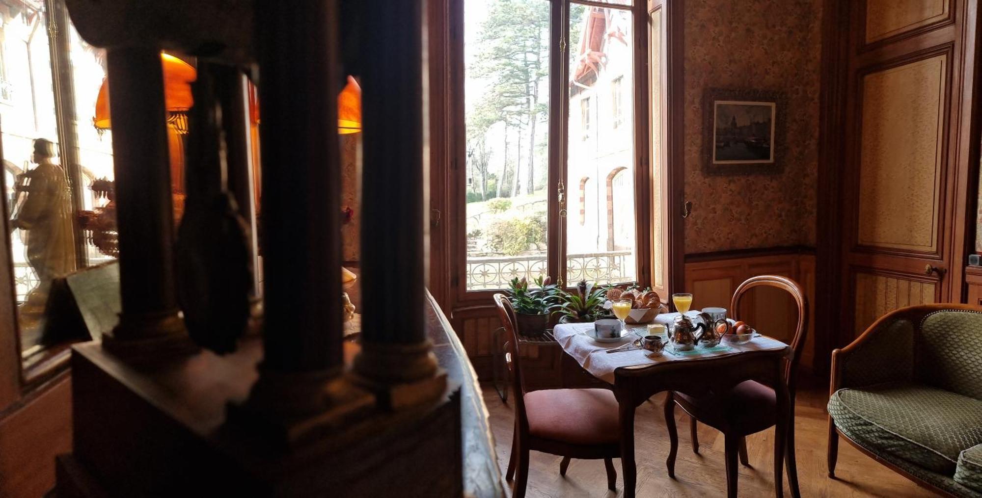 Hotel-Musee Villa Bagatelle Irigny Extérieur photo